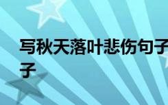 写秋天落叶悲伤句子短句 写秋天落叶悲伤句子