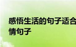 感悟生活的句子适合发朋友圈 感悟生活的心情句子