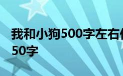 我和小狗500字左右作文 我和小狗作文作文450字