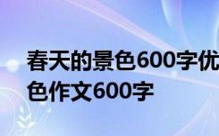 春天的景色600字优秀作文 春天的春天的景色作文600字