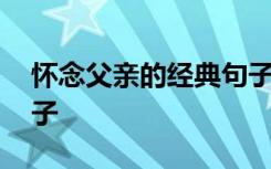 怀念父亲的经典句子图片 怀念父亲的经典句子