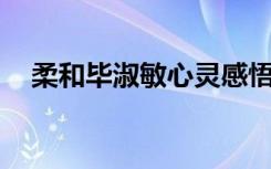 柔和毕淑敏心灵感悟 毕淑敏散文《柔和》