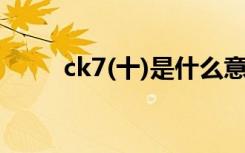 ck7(十)是什么意思 ck是什么意思