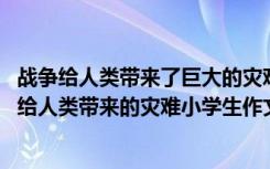 战争给人类带来了巨大的灾难请写出一句话来倡导人们 战争给人类带来的灾难小学生作文