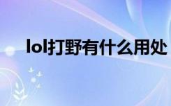 lol打野有什么用处（lol打野有什么用）