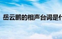 岳云鹏的相声台词是什么 岳云鹏的相声台词