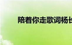 陪着你走歌词杨长青 陪着你走歌词