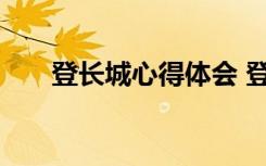 登长城心得体会 登长城有感记事作文