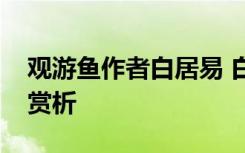 观游鱼作者白居易 白居易《观游鱼》全诗及赏析