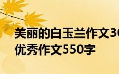 美丽的白玉兰作文300字 描写美丽的白玉兰优秀作文550字