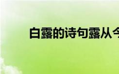 白露的诗句露从今夜白 白露的诗句