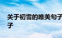 关于初雪的唯美句子图片 关于初雪的唯美句子