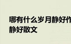 哪有什么岁月静好作文600字 哪有什么岁月静好散文