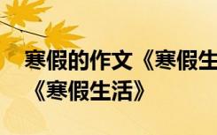 寒假的作文《寒假生活》怎么写 寒假的作文《寒假生活》