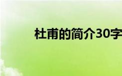 杜甫的简介30字左右 杜甫的简介