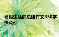 暑假生活的总结作文350字 300字暑假总结作文:我的暑假生活总结