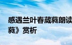 感遇兰叶春葳蕤朗读 张九龄《感遇兰叶春葳蕤》赏析