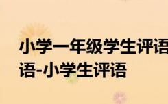 小学一年级学生评语大全简短 一年级学生评语-小学生评语