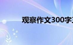 观察作文300字三年级 观察作文