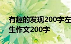 有趣的发现200字左右作文 有趣的发现小学生作文200字