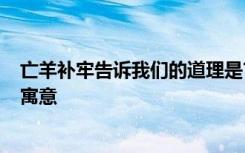 亡羊补牢告诉我们的道理是? 亡羊补牢告诉我们什么道理及寓意