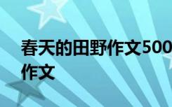 春天的田野作文500字左右 春天的田野优秀作文