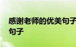 感谢老师的优美句子有哪些 感谢老师的优美句子