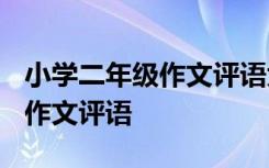 小学二年级作文评语大全_评语 小学二年级的作文评语