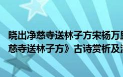 晓出净慈寺送林子方宋杨万里这首诗的诗意 杨万里《晓出净慈寺送林子方》古诗赏析及注释