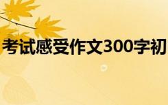 考试感受作文300字初中 考试感受作文300字