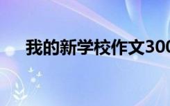 我的新学校作文300字 我的新学校作文