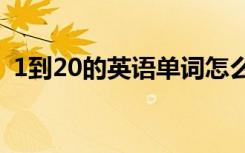 1到20的英语单词怎么写 十五的单词怎么写