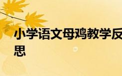 小学语文母鸡教学反思 语文《母鸡》教学反思