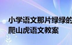 小学语文那片绿绿的爬山虎教案 那片绿绿的爬山虎语文教案