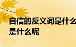 自信的反义词是什么最佳答案 自信的反义词是什么呢