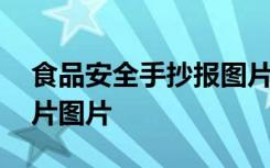 食品安全手抄报图片大全 食品安全手抄报图片图片