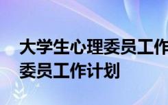 大学生心理委员工作计划怎么写 大学生心理委员工作计划