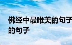 佛经中最唯美的句子经典语句 佛经中最唯美的句子