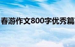 春游作文800字优秀篇高中 春游的作文800字