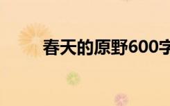 春天的原野600字 春天的原野作文