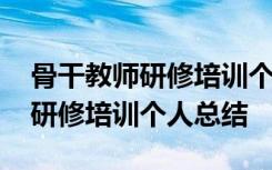 骨干教师研修培训个人总结怎么写 骨干教师研修培训个人总结