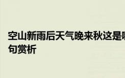 空山新雨后天气晚来秋这是哪首诗 空山新雨后天气晚来秋诗句赏析