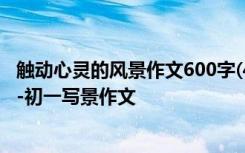 触动心灵的风景作文600字(4篇) 触动心灵的风景作文600字-初一写景作文