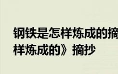 钢铁是怎样炼成的摘抄和做笔记 《钢铁是怎样炼成的》摘抄