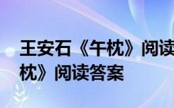 王安石《午枕》阅读答案及解析 王安石《午枕》阅读答案