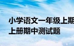 小学语文一年级上期中试卷 小学一年级语文上册期中测试题