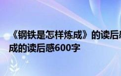 《钢铁是怎样炼成》的读后感800字初二 初二钢铁是怎样炼成的读后感600字