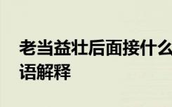 老当益壮后面接什么词语最好 老当益壮的成语解释