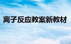 离子反应教案新教材 《离子反应》教学设计