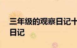 三年级的观察日记十篇300字 三年级的观察日记